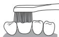 PANASONIC EW-DL83 - Front surface and the biting surface of teeth - 2