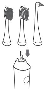 PANASONIC EW-DL83 - Posizione aCESSA da escova no cabo da escova de dentes com firmeza. - 1