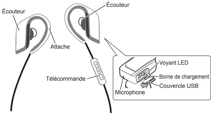 PANASONIC RPBTS30E - Noms des pièces - 1