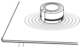 PANASONIC SC-RB5E - Caratteristica del diffusore a vibratione - 1