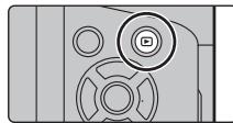PANASONIC DMC-GX80 - Visionnage de photos - 1