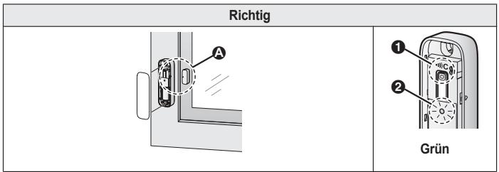 Richtig A 1 2 Grün