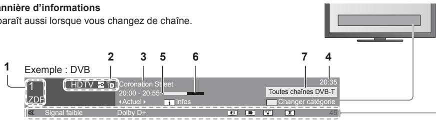 PANASONIC N2QAYB000752 - Affichez la bannière d'informations - 2
