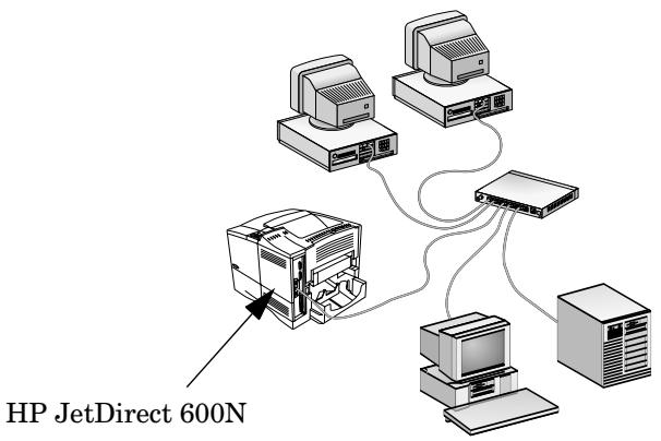 HP JETDIRECT EX PLUS - Introduction - 1