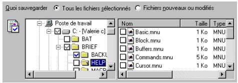 HP COLORADO 5GB TRAVAN DRIVE - Utilisation de la fenêtre Sauvegarder - 1