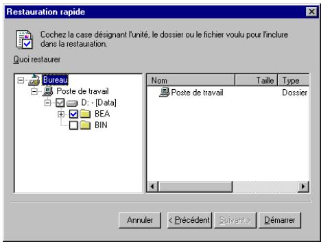 HP COLORADO 5GB TRAVAN DRIVE - Restauration rapide - 2