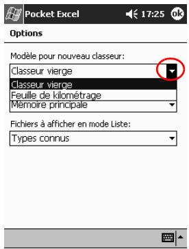 HP IPAQ H3900 - Options - 4