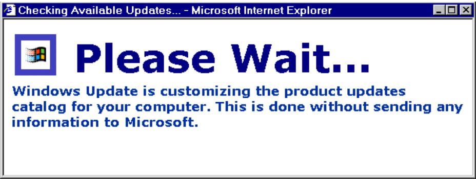 HP STORAGEWORKS FIBRE CHANNEL SWITCHES - Utilisation de Microsoft Internet Explorer - 5
