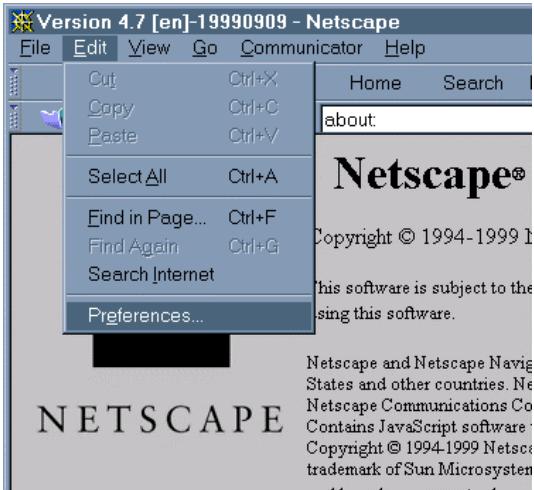 HP STORAGEWORKS FIBRE CHANNEL SWITCHES - Utilisation de Netscape (Communicator/Navigator) - 1