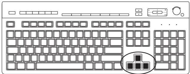 HP COMPAQ CQ2000 - Touches flèchées - 1