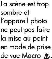 HP PHOTOSMART M305 - Messages d'erreur apparaissant sur l'appareil photo - 6