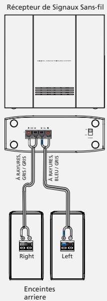 THOMSON DPL930VD-RECEIVER - ASTUCE - 2