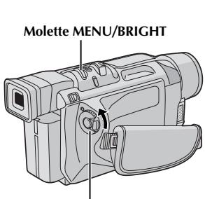 THOMSON VM130 - Balance des blancs manuelle - 5