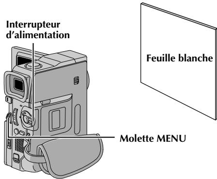THOMSON VMD160 - Balance des blancs manuelle - 5