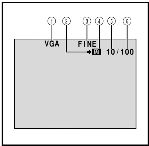 THOMSON VMD170 - Indications de l'écran LCD/du viseur pendant l'enregistrement D.S.C. uniquement (VMD170 uniquement) - 1