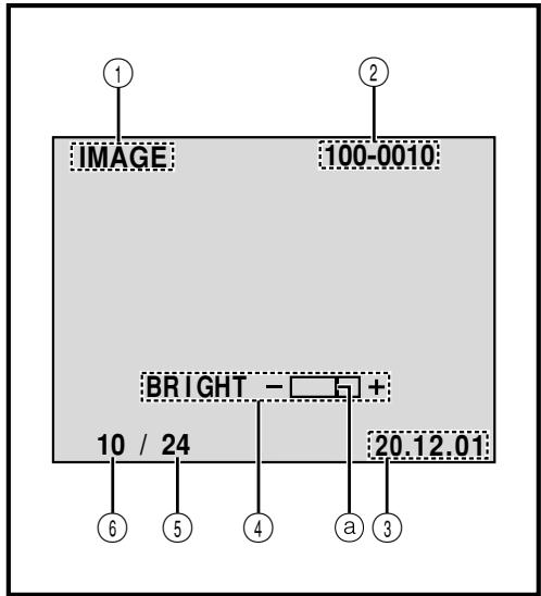 THOMSON VMD170 - Indications de l'écran LCD/du viseur pendant la lecture D.S.C. (VMD170 uniquement) - 1