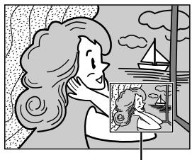 THOMSON VMD20 - Prise de vues en mode progressif d'images animées (Enregistrement en mode progressif p. 24) - 3