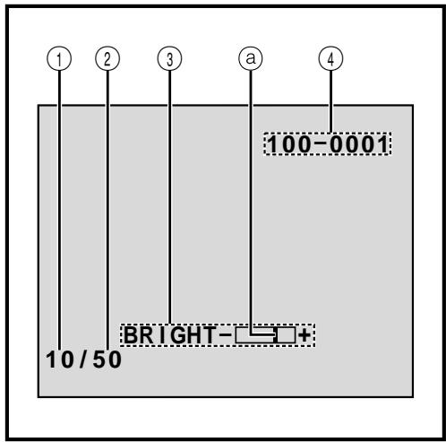 THOMSON VMD6 - Indications de l'écran LCD/du viseur pendant la lecture D.S.C. - 1