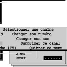 THOMSON CINEVISION289 - Gestion des chaînes - 11