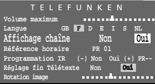 THOMSON CINEVISION320PL - Correction de champ - 4