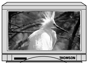 THOMSON VPH6990 - Commander le téléviseur - 1