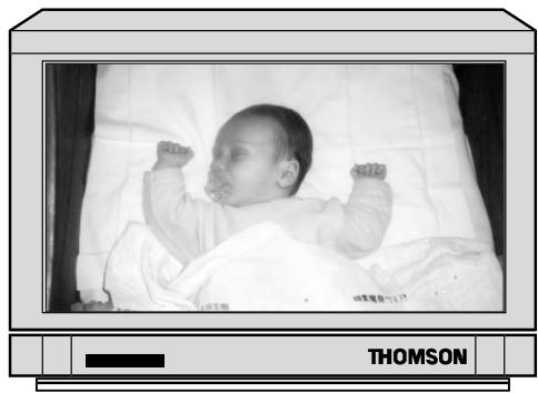 THOMSON VPH6990 - O. S. (Snap On-Screen) Record - 1