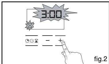 THOMSON BOT630MXD - - USING THE TIMER FUNCTION - 2