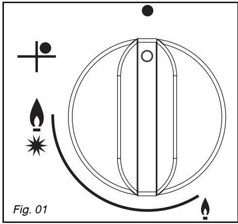 THOMSON EGKT431SI - • DESCRIPTION OF THE TOP - 4
