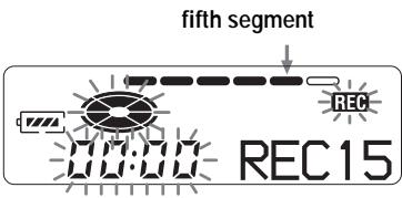 fifth segment 00:00 REC15