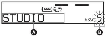 SONY MZ-N710 - Varying the virtual sound to create different acoustics (Virtual-Surround) - 1