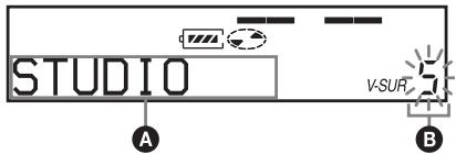 SONY MZ-NF810 - Varying the virtual sound to create different acoustics (Virtual-Surround) - 1