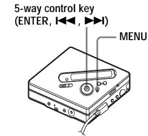SONY MZ-NF810 - Viewing various information - 1