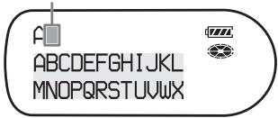 SONY MZ-NH1 - Labeling - 3