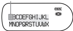 SONY MZ-NH1 - Labeling - 2