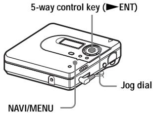 SONY MZ-NH600 - Storing the settings for individual discs (Disc Memory) - 1