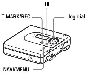 SONY MZ-NH600 - Adjusting the recording level manually - 1