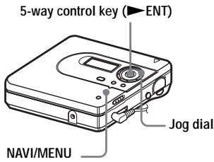 SONY MZ-NH600 - Viewing various information - 1