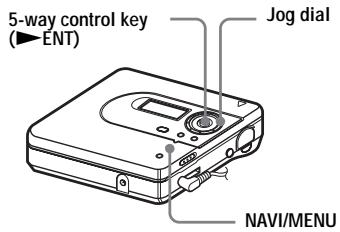 SONY MZ-NH600 - Viewing various information - 1
