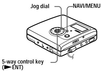 SONY MZ-NH900 - On the recorder - 1