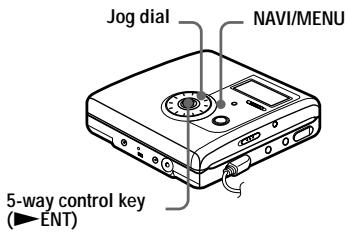 SONY MZ-NH900 - On the recorder - 1