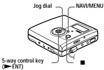 SONY MZ-NH900 - On the recorder - 1