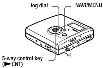 SONY MZ-NH900 - On the recorder - 1
