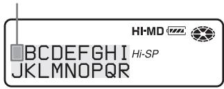 SONY MZ-NH900 - Labeling - 2