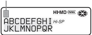 SONY MZ-NH900 - Labeling - 1