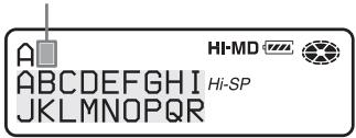 SONY MZ-NH900 - Labeling - 3