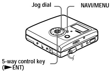 SONY MZ-NH900 - On the recorder - 1