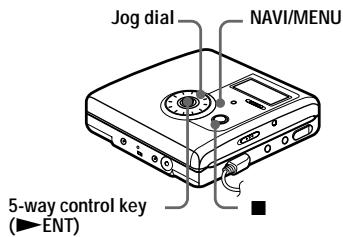 SONY MZ-NH900 - On the recorder - 1