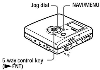SONY MZ-NH900 - On the recorder - 1