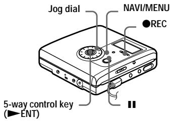 SONY MZ-NH900 - Adjusting the recording level manually - 1