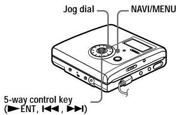 SONY MZ-NH900 - On the recorder - 1